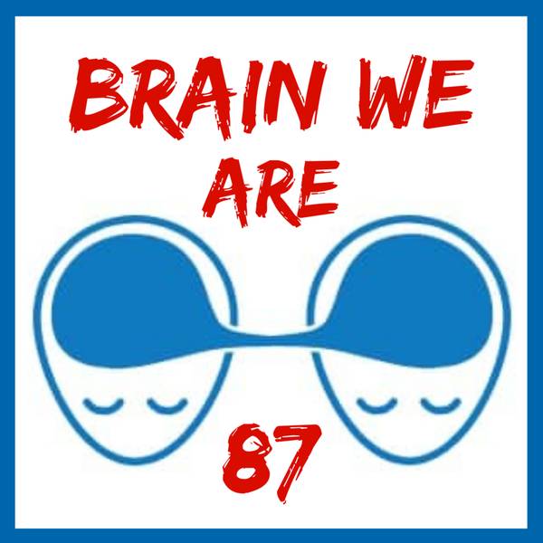 Brain We Are CZ